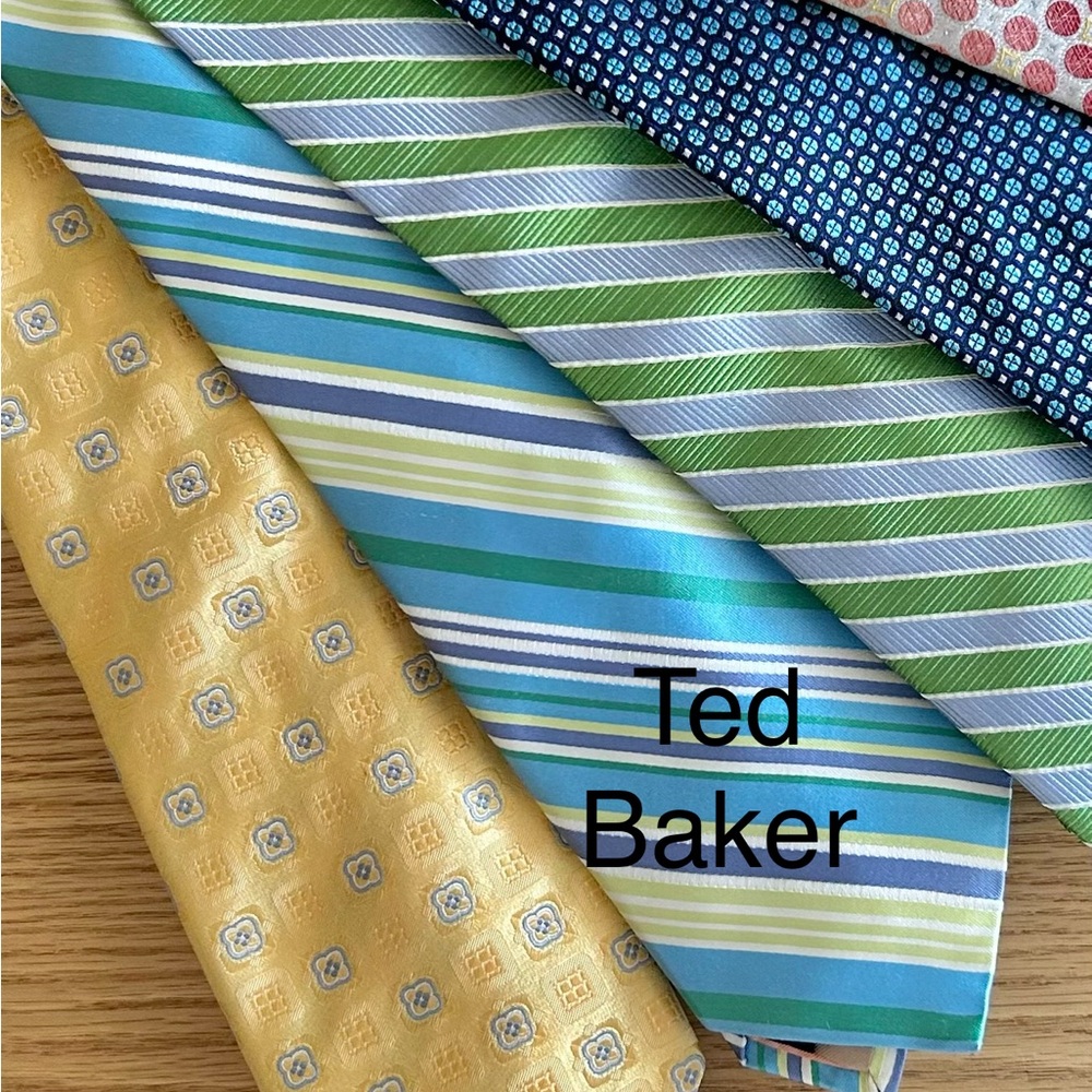 Designer Men's Tie- Ted Baker NWT